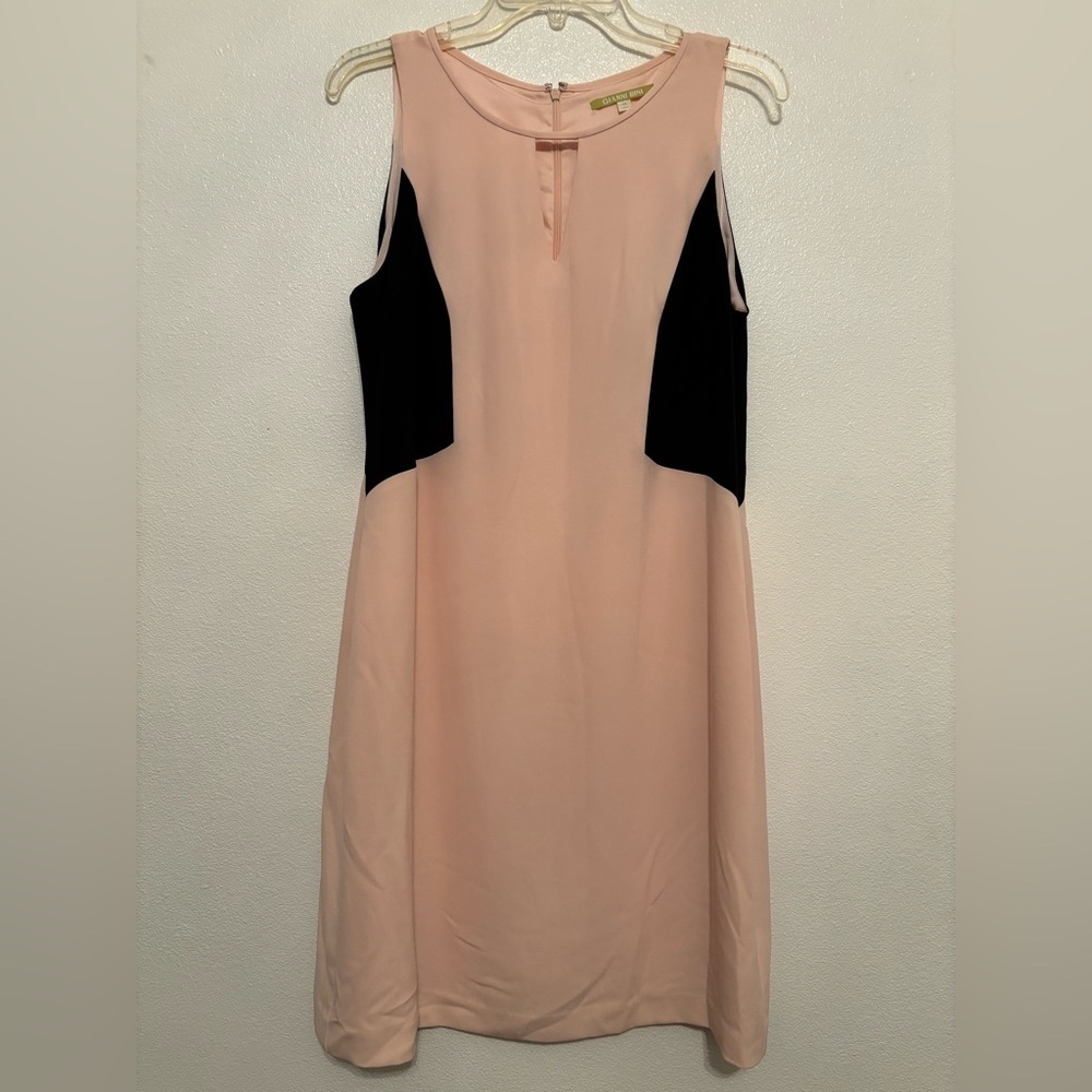 Gianni Bini sheath dress 12